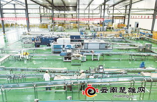 摩尔农庄 以技术服务为引擎推动三产融合发展