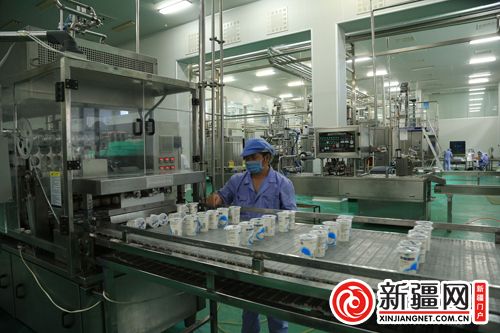 新疆首条乳业全智能系统全面上线 技术驱动下的产业新纪元